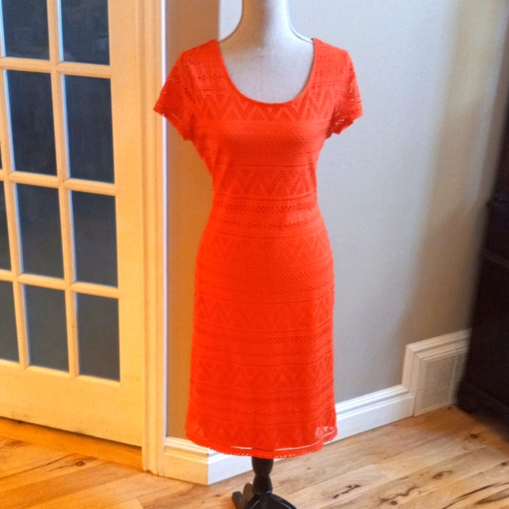 Short sleeved orange lacey dress